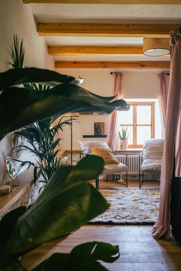 Bed and Breakfast Marinada Vinicni Dum Pavlov Exterior foto